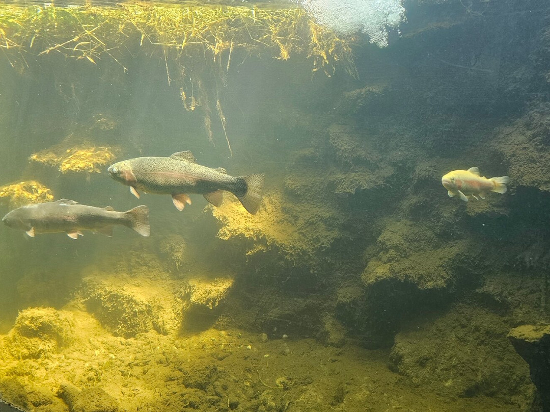 Aquarium du Perigord Noir-Le Bugue必去景点