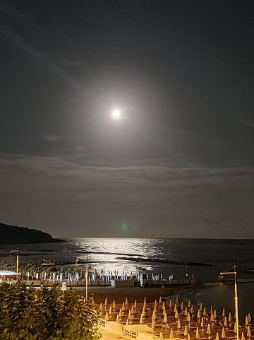提兰诺酒店-官方