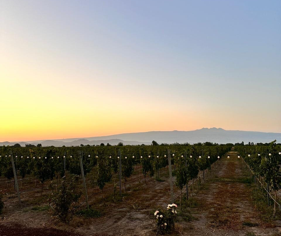 Aratashen Winery-Aratashen必去景点