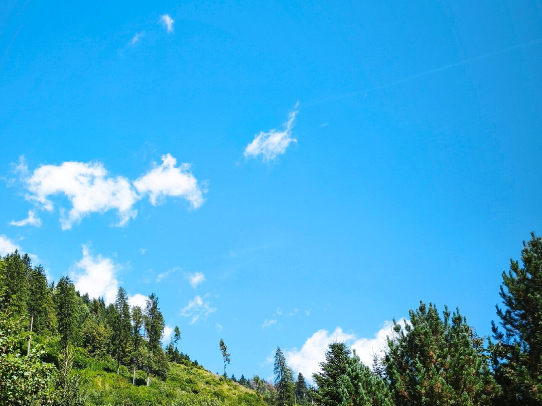 Ciclabile della Drava San Candido-Lienz-圣坎迪多必去景点