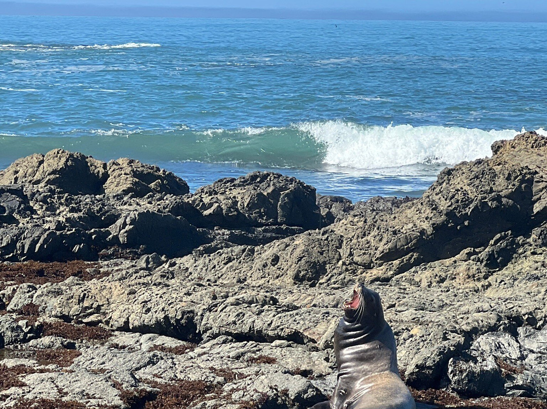 Black Sands Beach-Shelter Cove必去景点