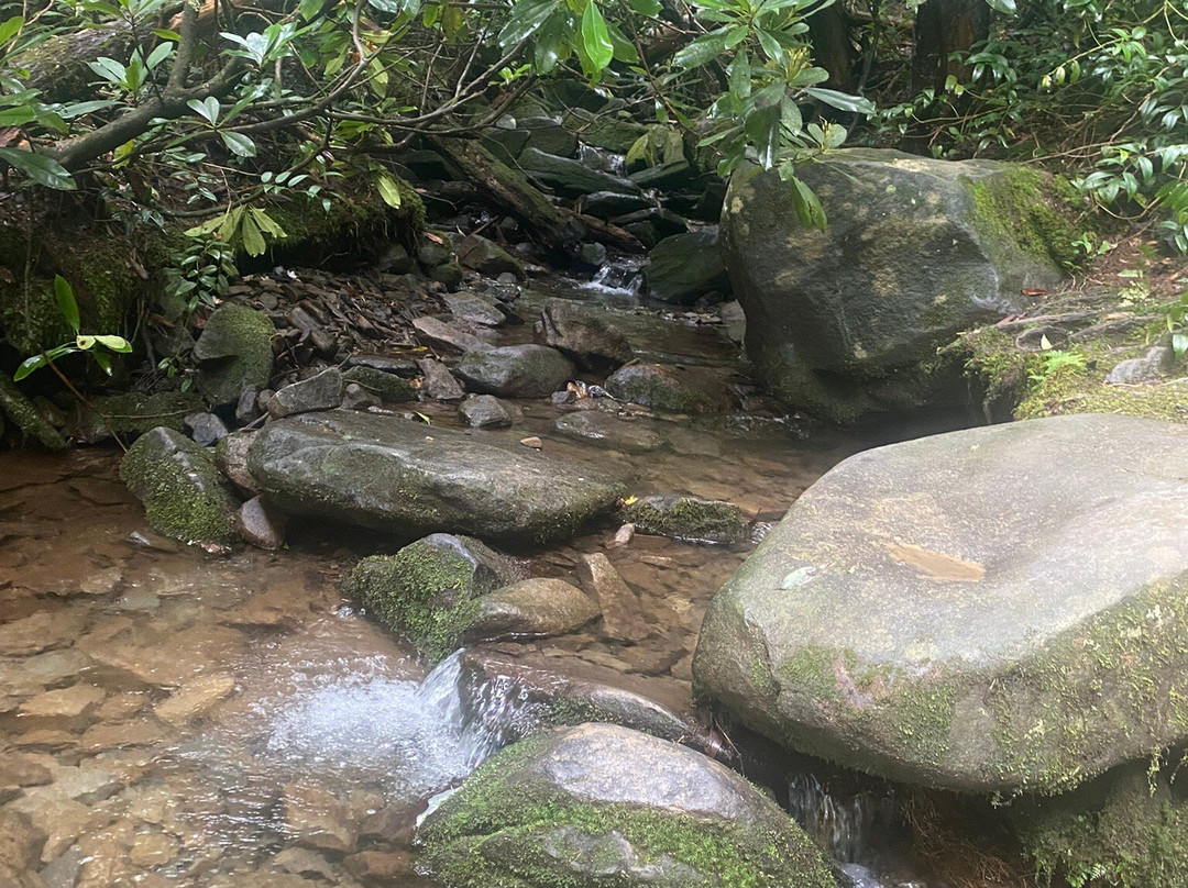 Grotto Falls Trail-大雾山国家公园必去景点