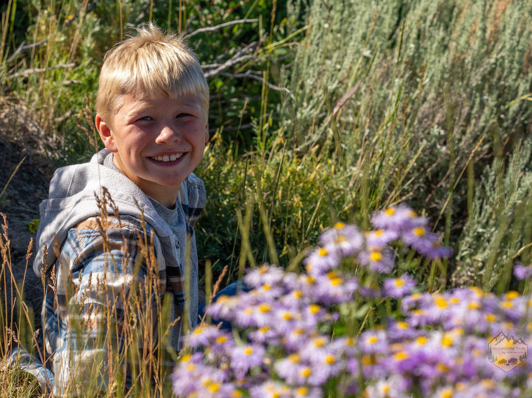 Cody Shuttle-Wapiti必去景点