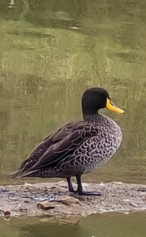 Lake Victoria Equator Entebbe-恩德培必去景点