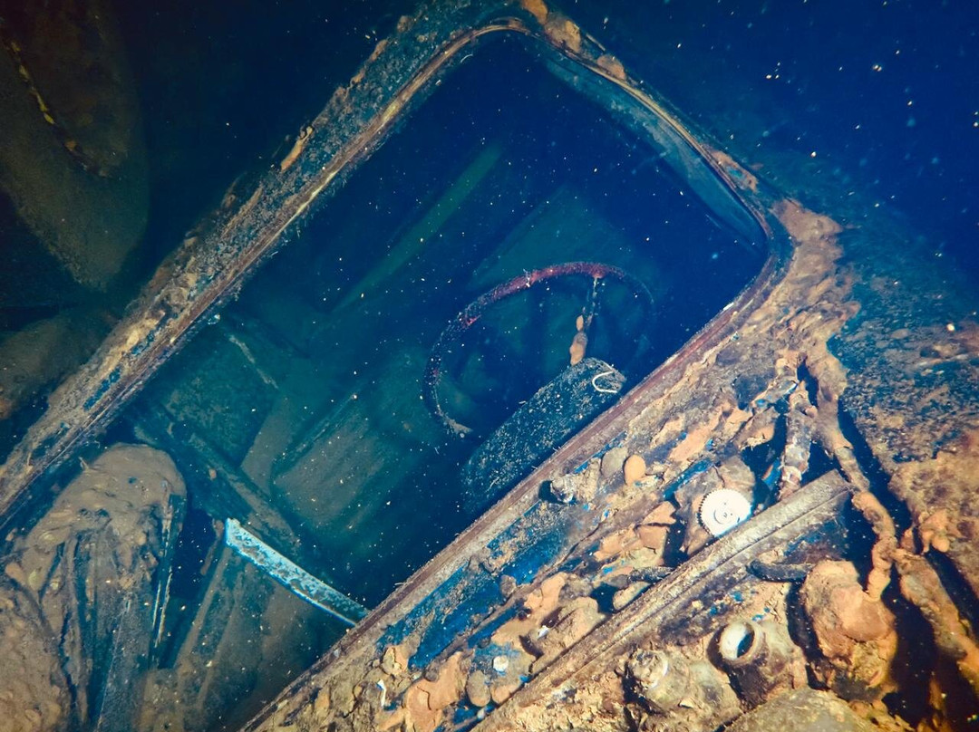 Dive-In Larnaca-拉纳加必去景点