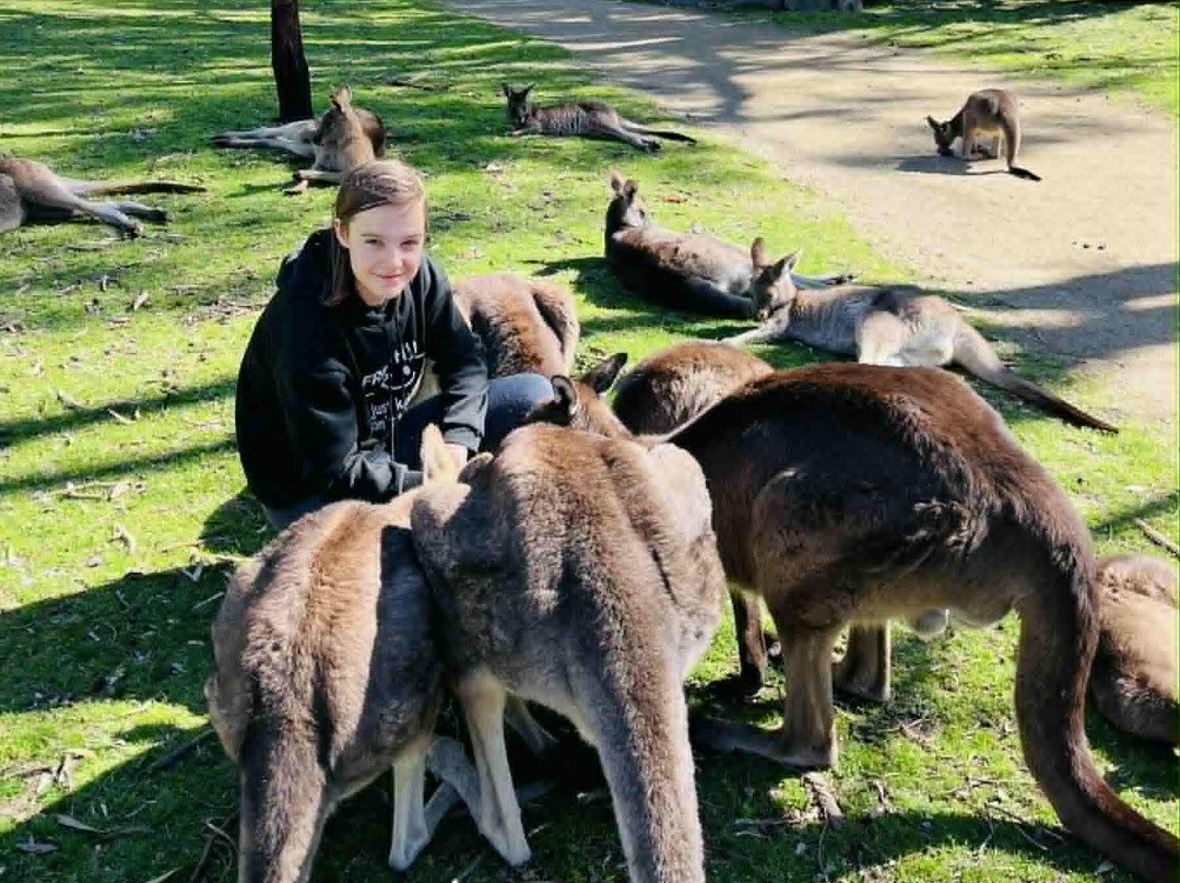 Urimbirra Wildlife Park-维克多港必去景点