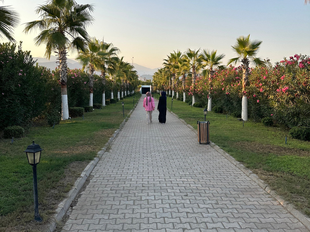 Rizom Beach Hotel主图