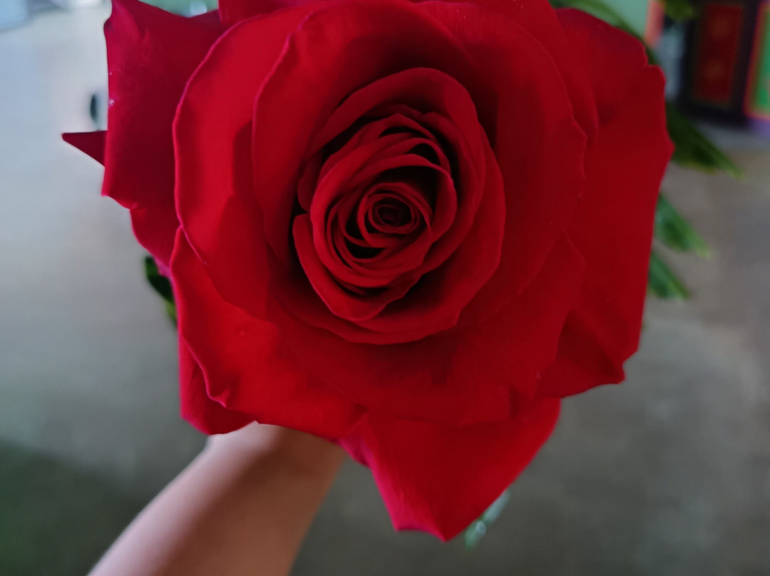 Mercadito Gastronómico Manuel Antonio-哥斯达黎加安东尼奥国家公园必去景点