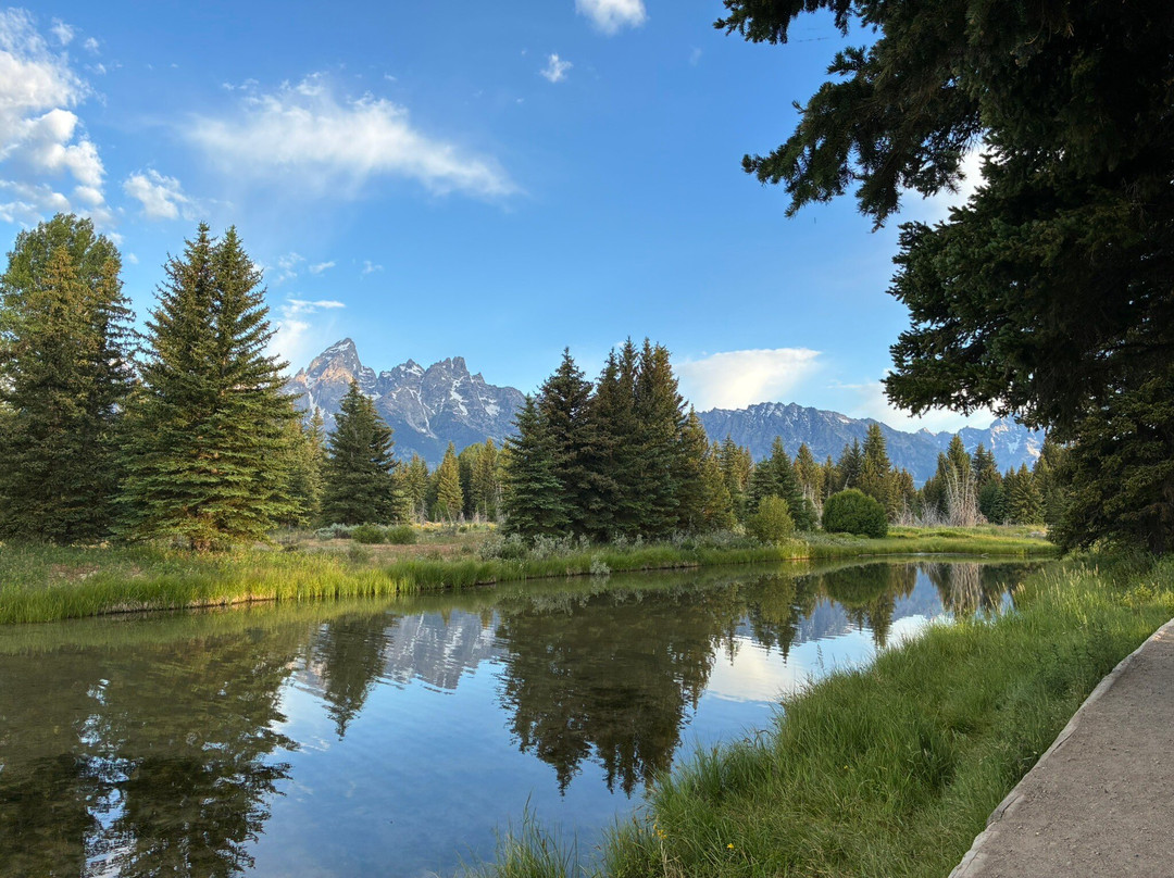 Schwabacher Landing-大提顿国家公园必去景点