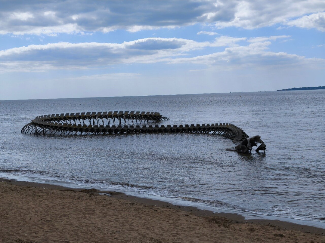 Le Serpent d'Océan-Saint-Brevin-les-Pins必去景点
