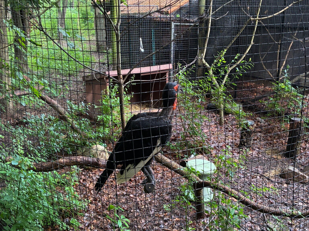 Binder Park Zoo-Battle Creek必去景点