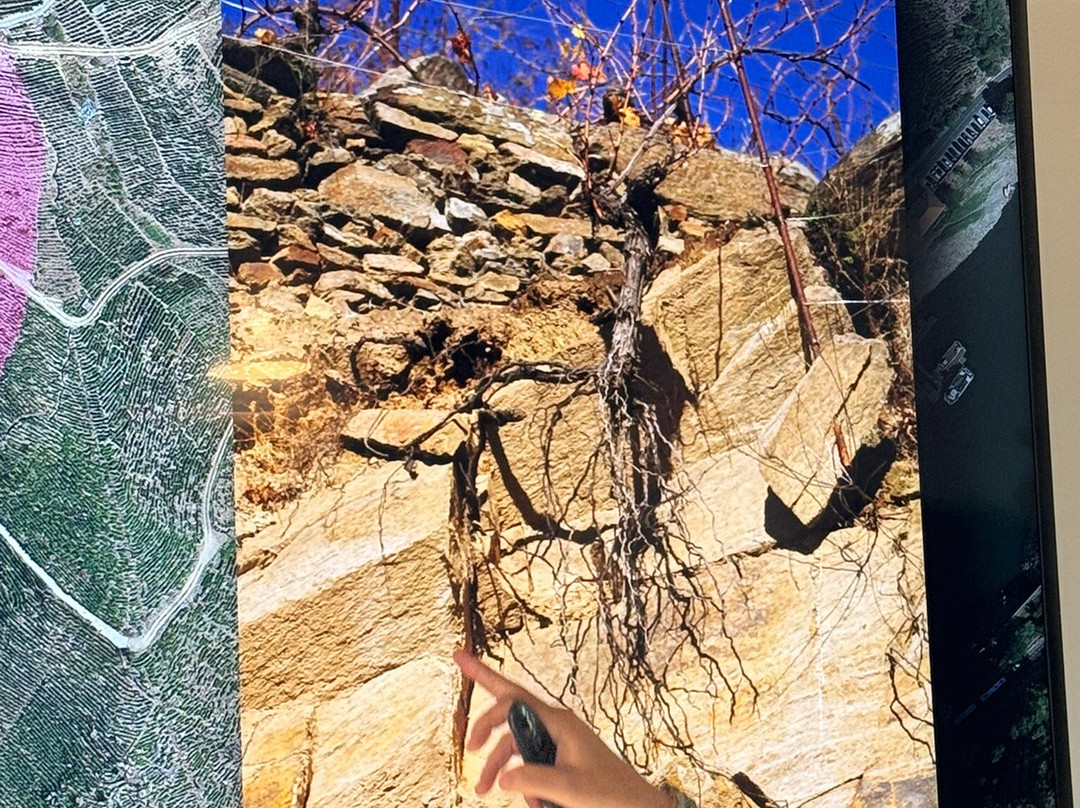 Algueira winery-Sober必去景点