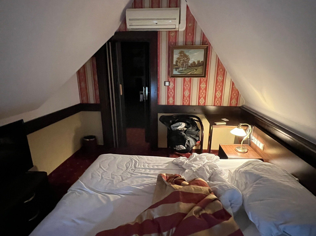 Hotel Berg主图