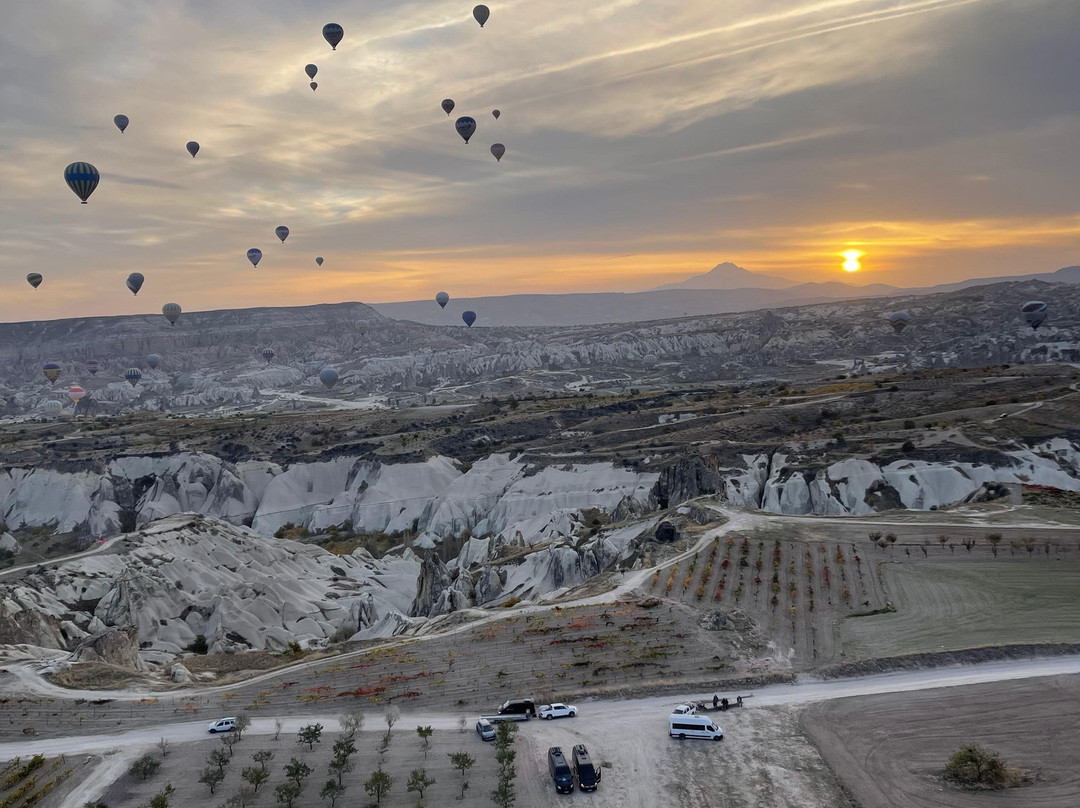 LUX TRAVEL&TOURS-伊斯坦布尔必去景点