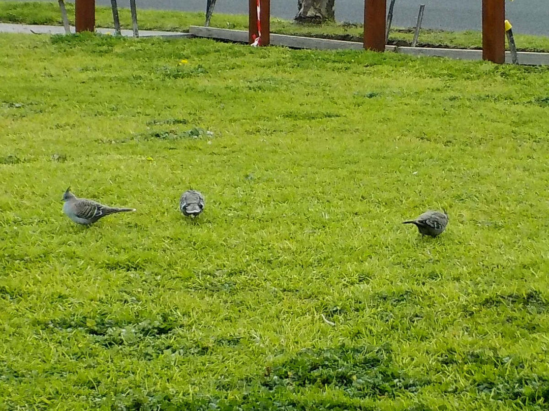 Victory Park-阿斯科特溪谷必去景点