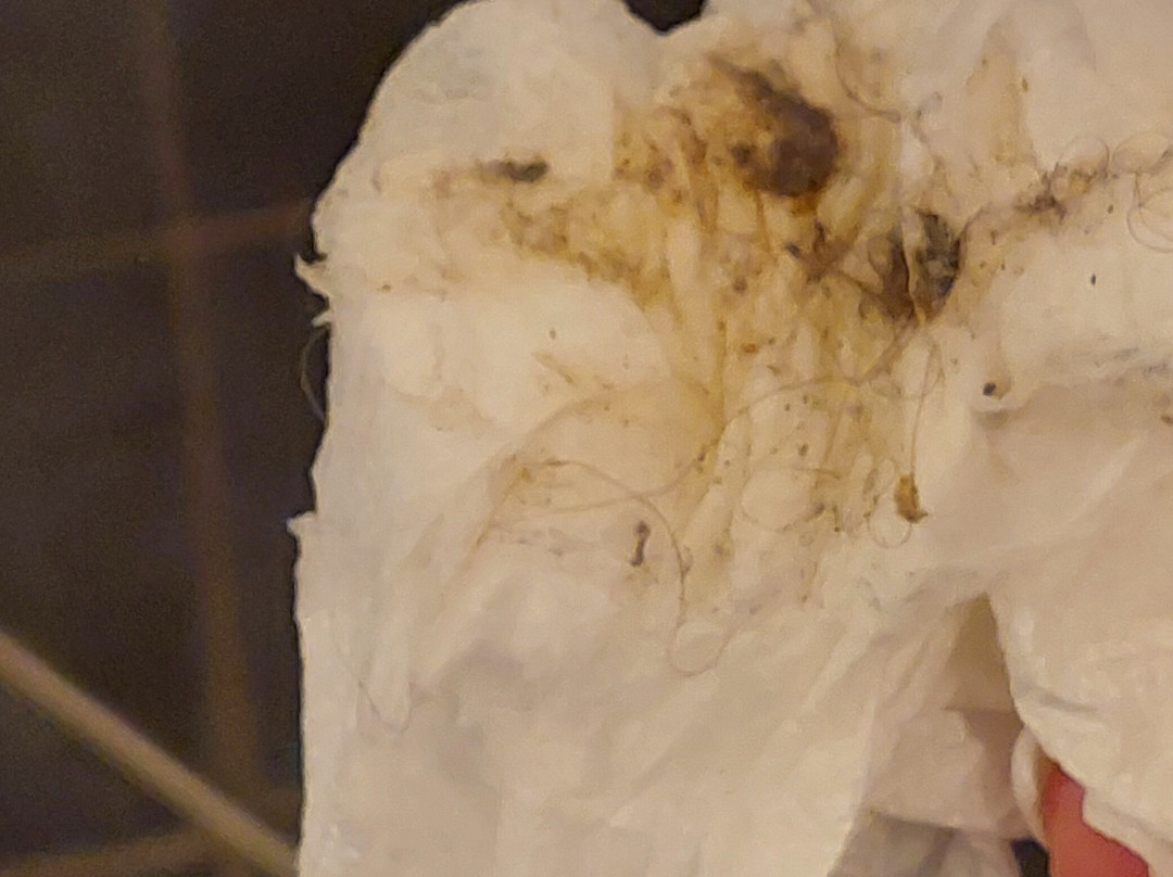 Hotel Fase Fier Eten en Drinken主图