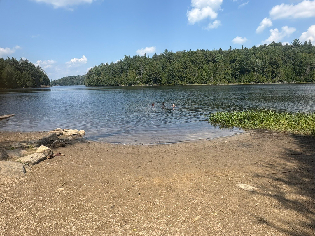 Algonquin Outfitters-Oxtongue Lake必去景点