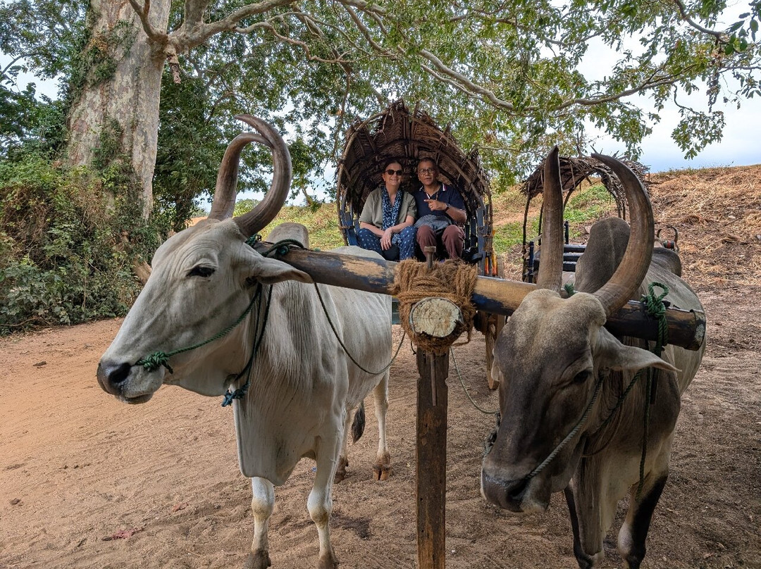 Sri Lanka Tailored Tours-Ja Ela必去景点