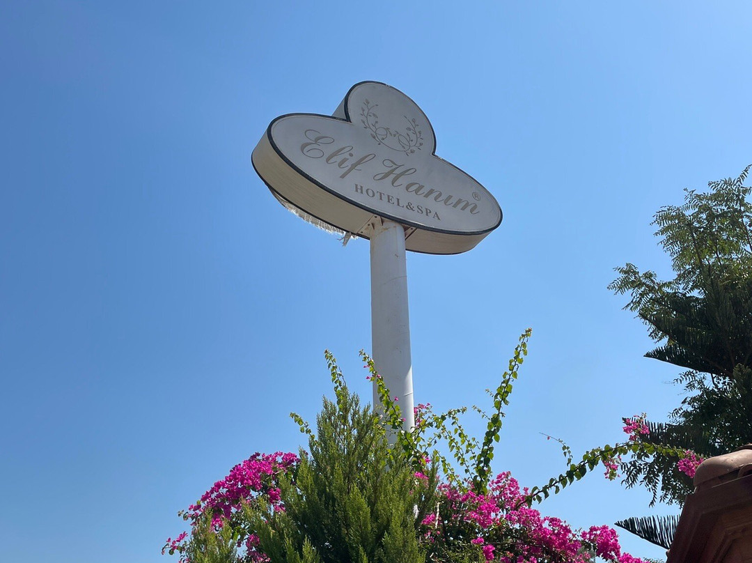 Elif Hanim Hotel & Spa主图