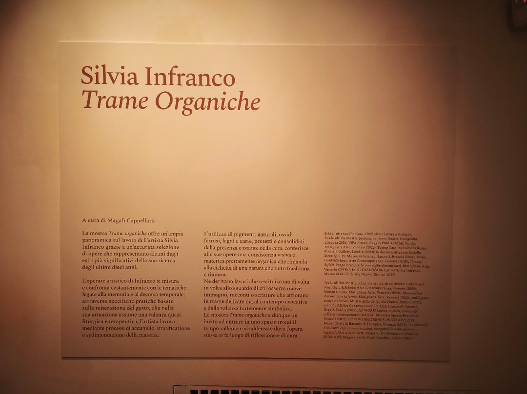 Casa Cavazzini-乌迪内必去景点