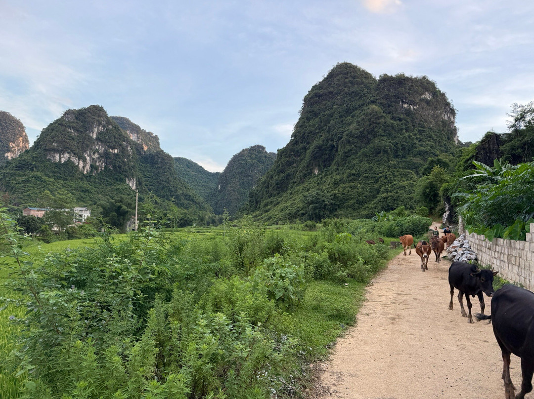 Cao Bang Loop Tour-高平必去景点
