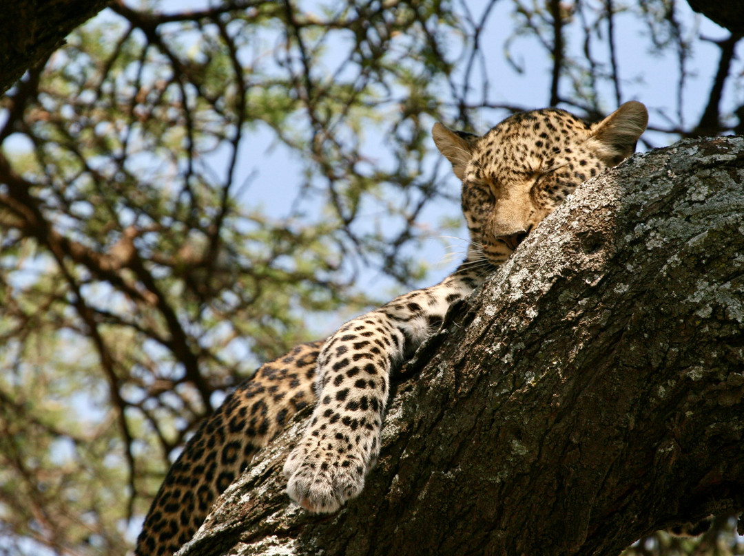 Mamnana Adventures-Olasiti必去景点