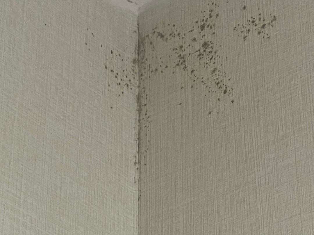 Crowne Plaza Cleveland Airport By IHG主图