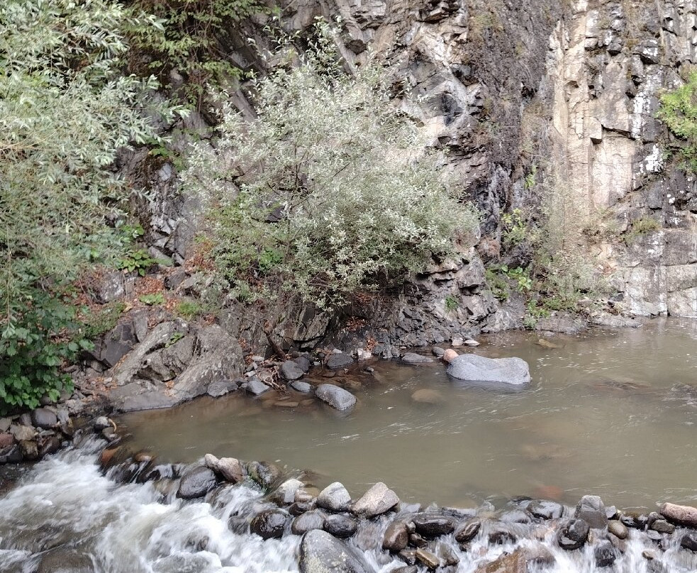 Borjomi Sulfur Pools-Borjomi必去景点