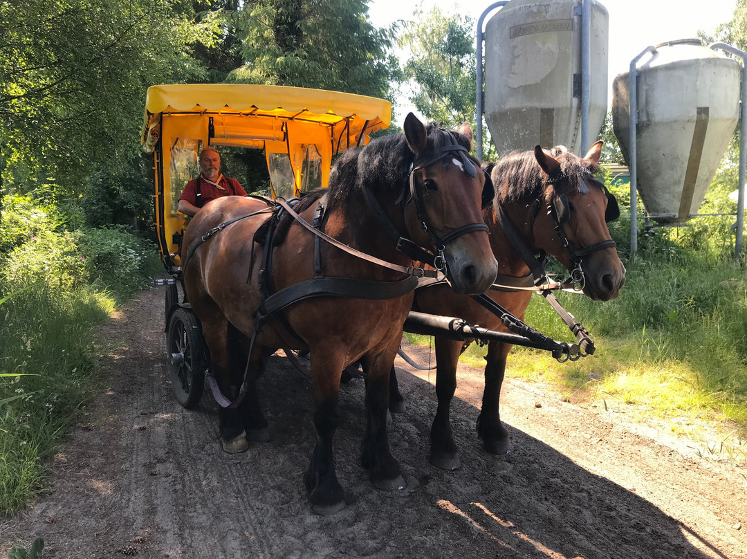 Kutsch- und Kremserfahrten Bergmann