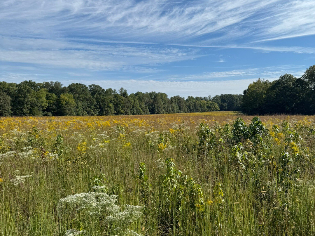 Old Stone Fort State Archaeological Park-Manchester必去景点