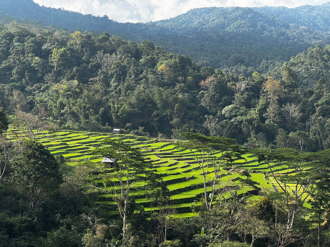 Flores Dreamland Tour moni-Moni必去景点