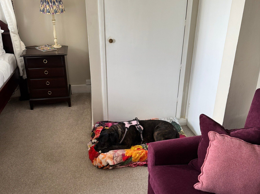 The White Hart Hotel主图