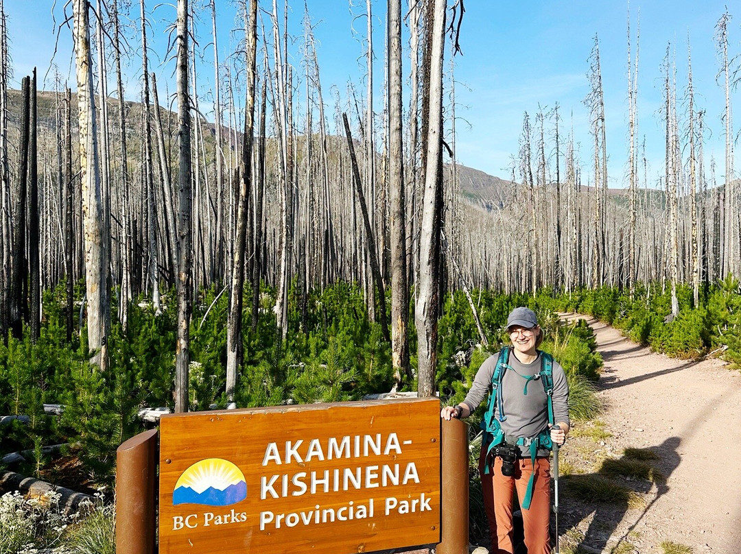 Wall Lake Hike-沃特顿湖国家公园必去景点