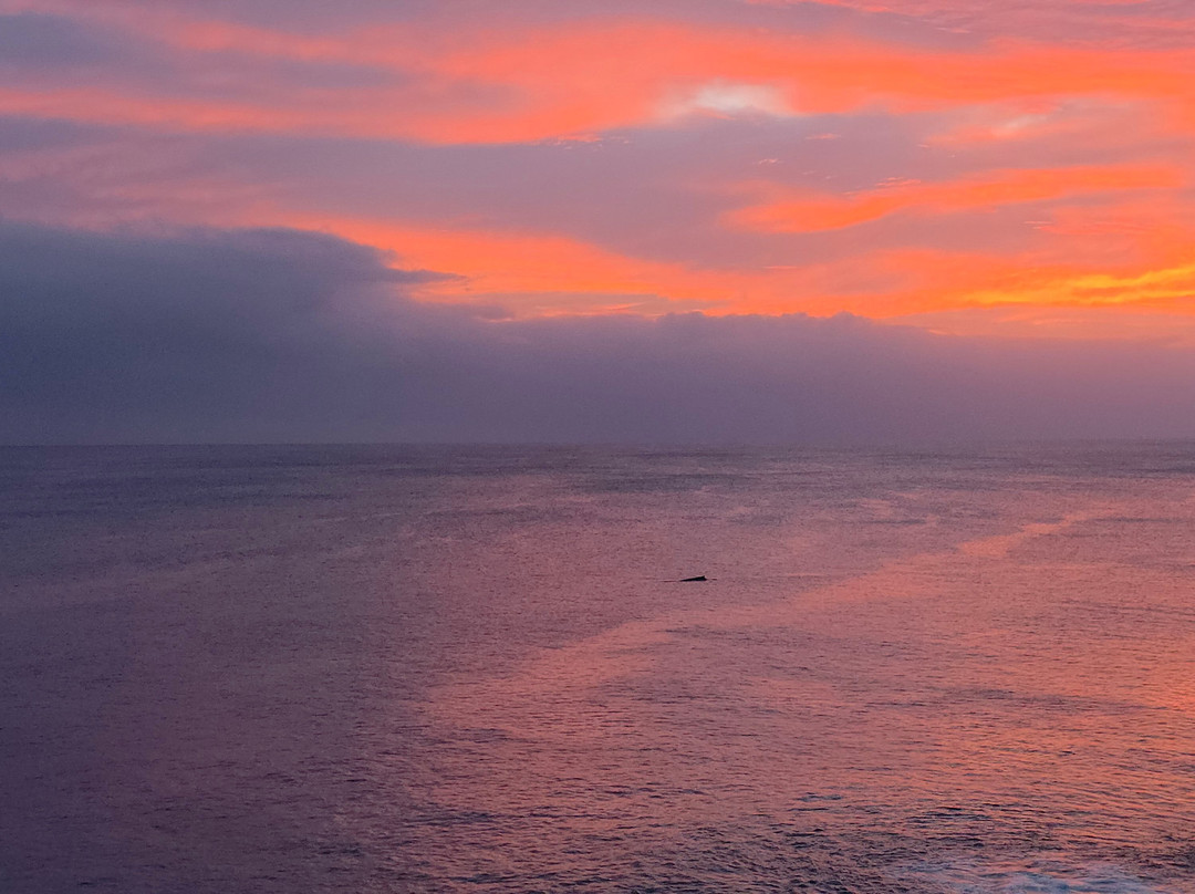 Scenic Matavai Resort Niue主图