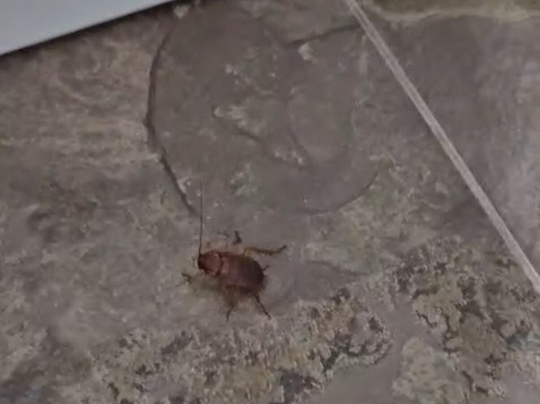 Hospederia Almundo主图