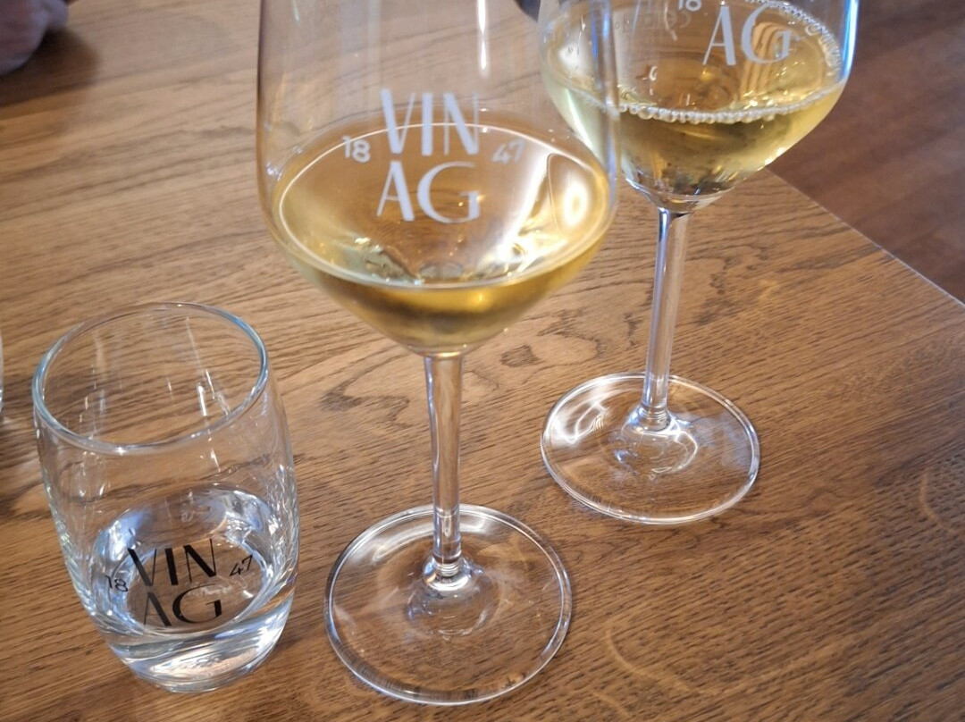 Vinag Wine Cellar-马里博尔必去景点