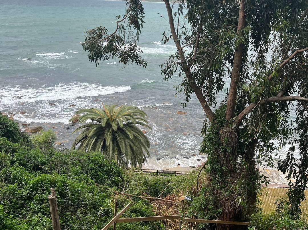 Caleta Horcón-瓦尔帕莱索必去景点