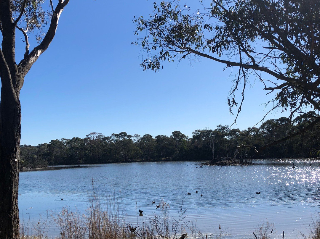 Jells Park-威勒斯山必去景点