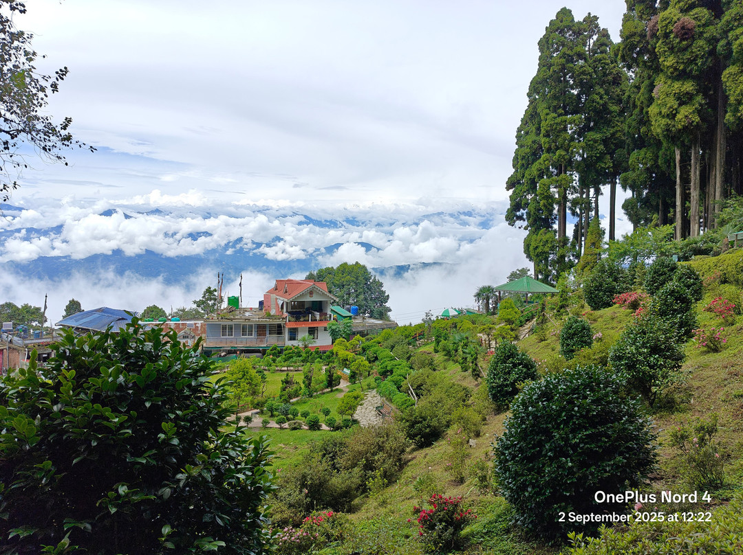 Lamahatta-大吉岭必去景点