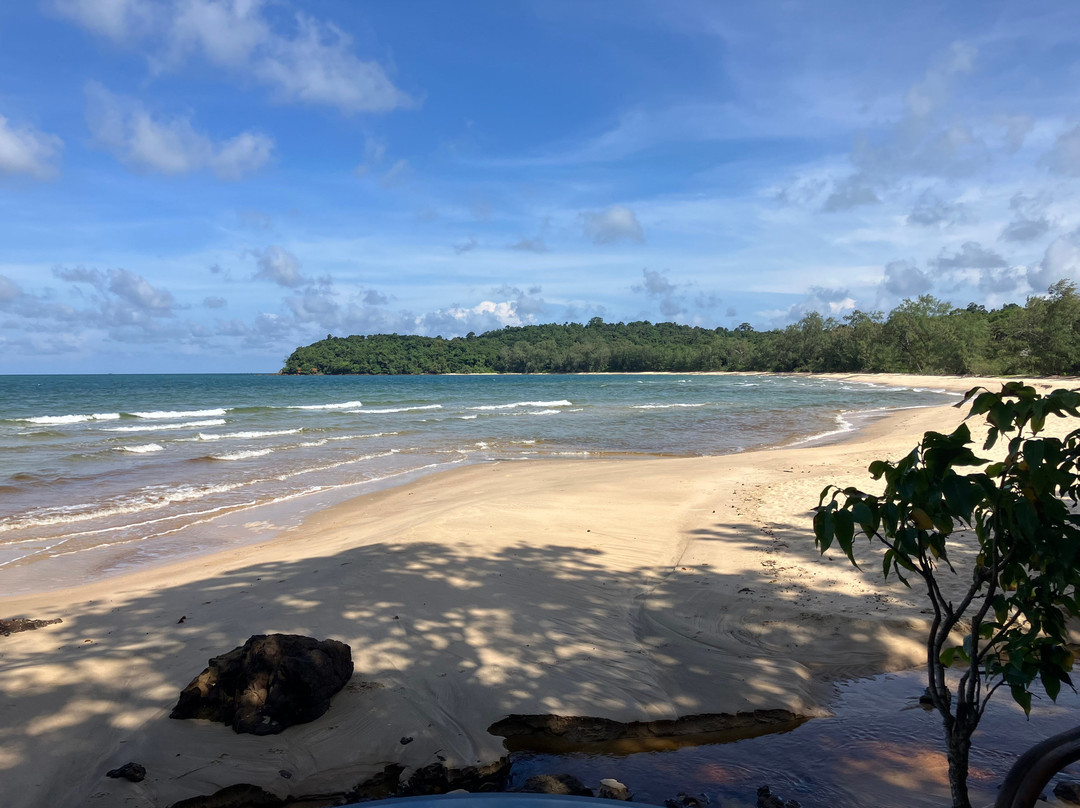 Kactus - The Hidden Treehouse主图