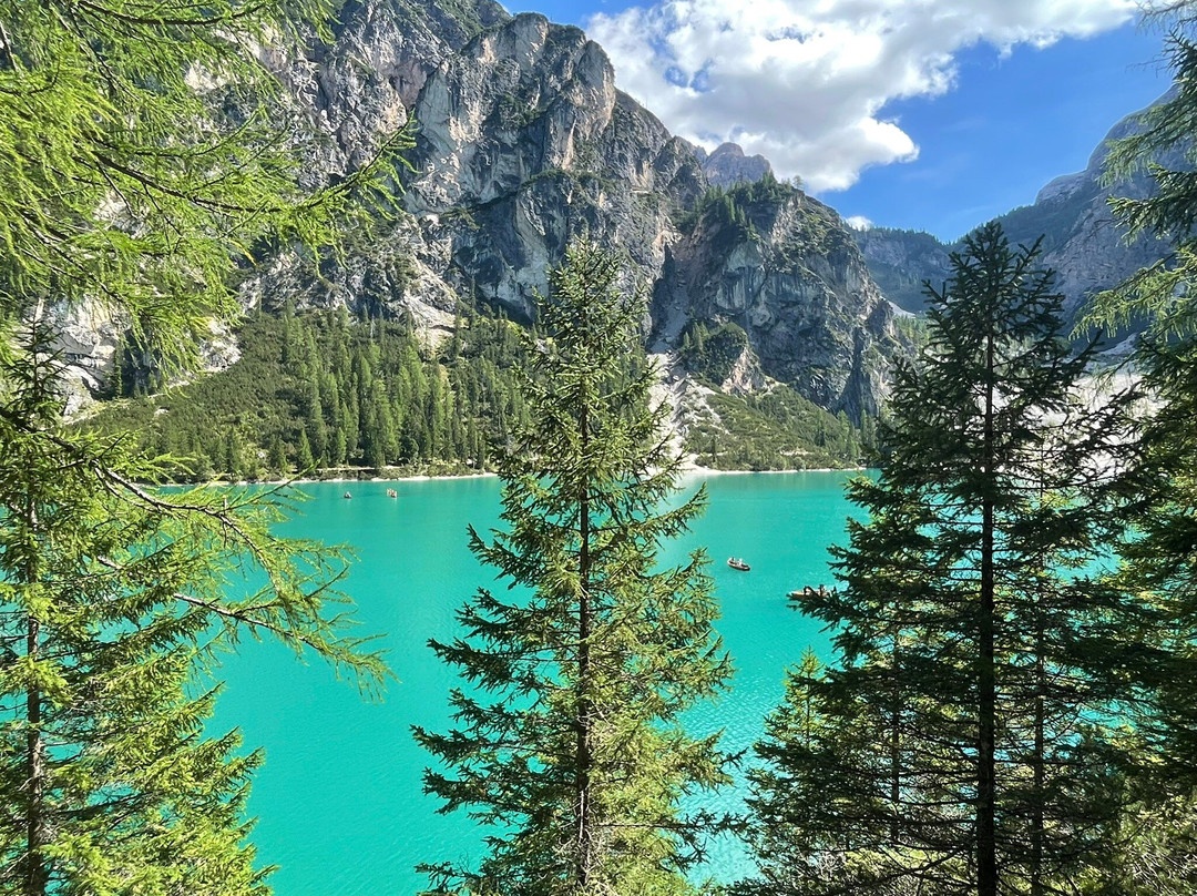 MoveNow Travel-威尼斯必去景点