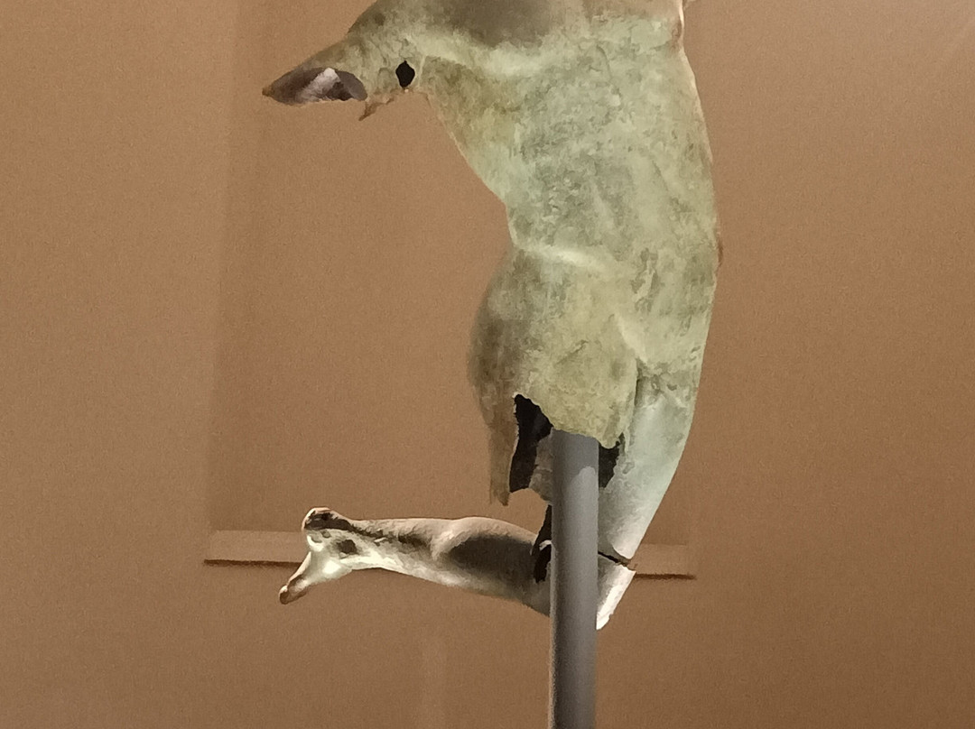 Museo del Satiro Danzante-马扎拉－德尔瓦洛必去景点