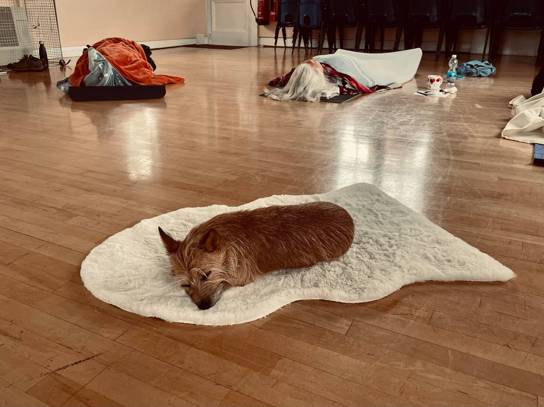 Yoga Loveliness-托基必去景点