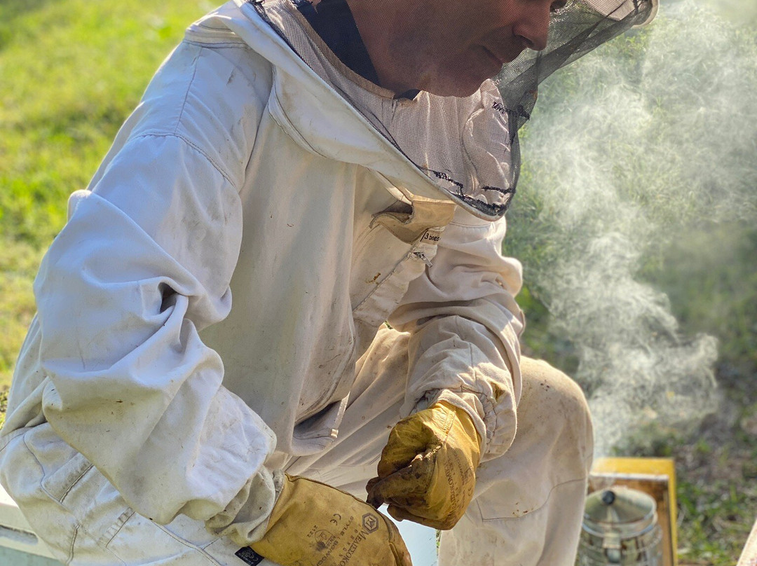 Alimento Corfu Beekeeping Tours-Kanoni必去景点