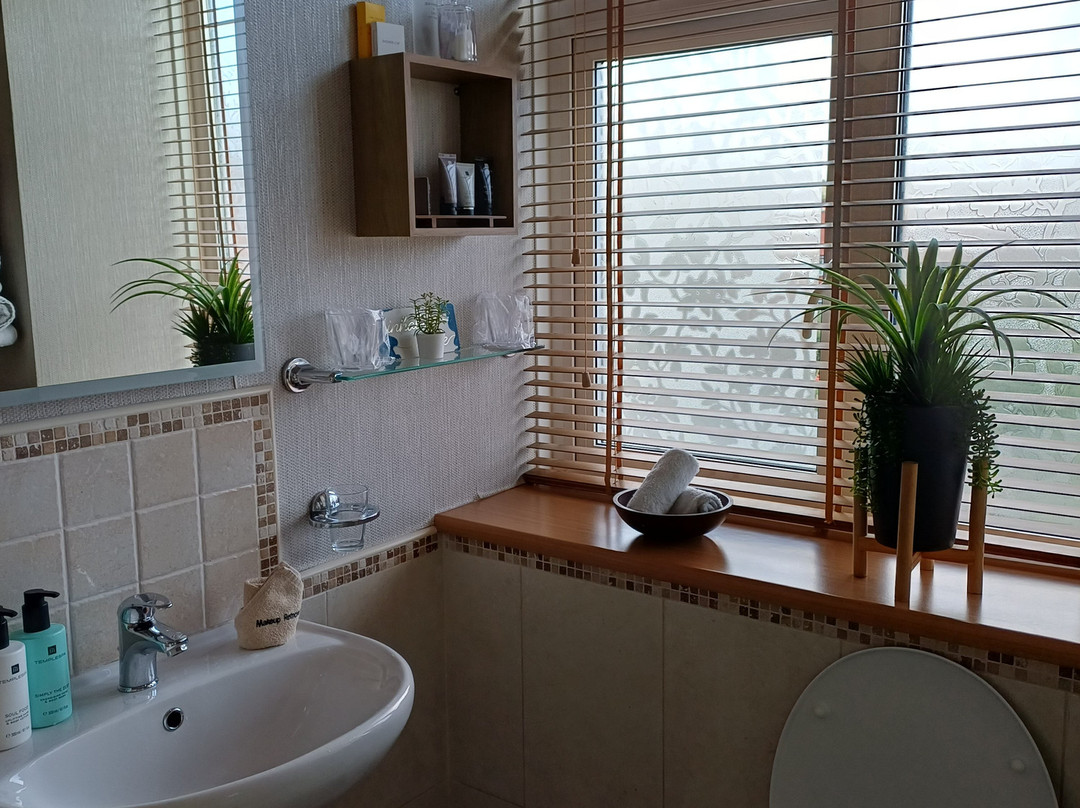 Alexander Hotel - Seaside Hideaway主图