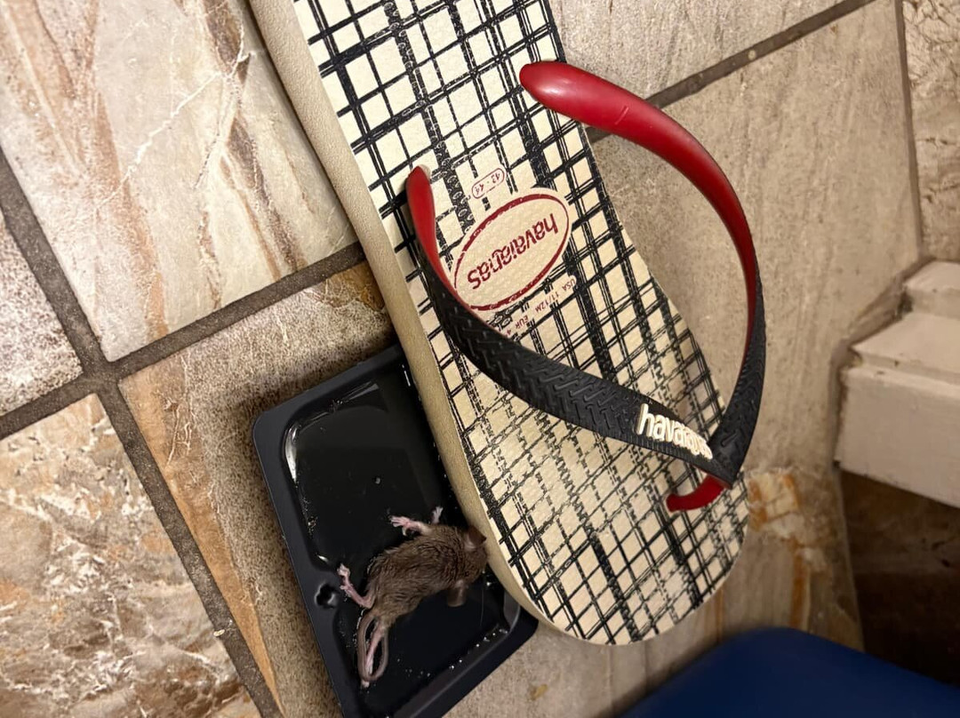 Days Inn by Wyndham Nanaimo主图