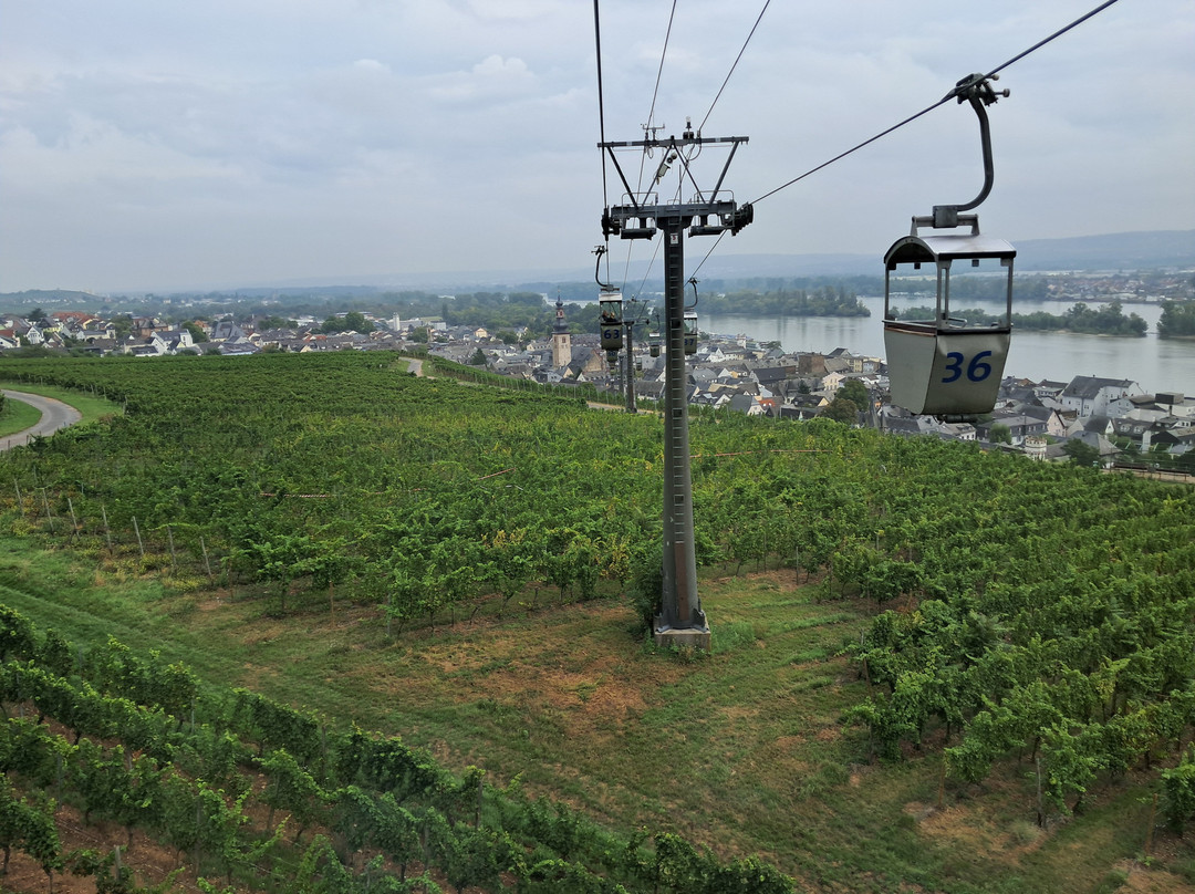 Seilbahn Rudesheim-吕德斯海姆必去景点