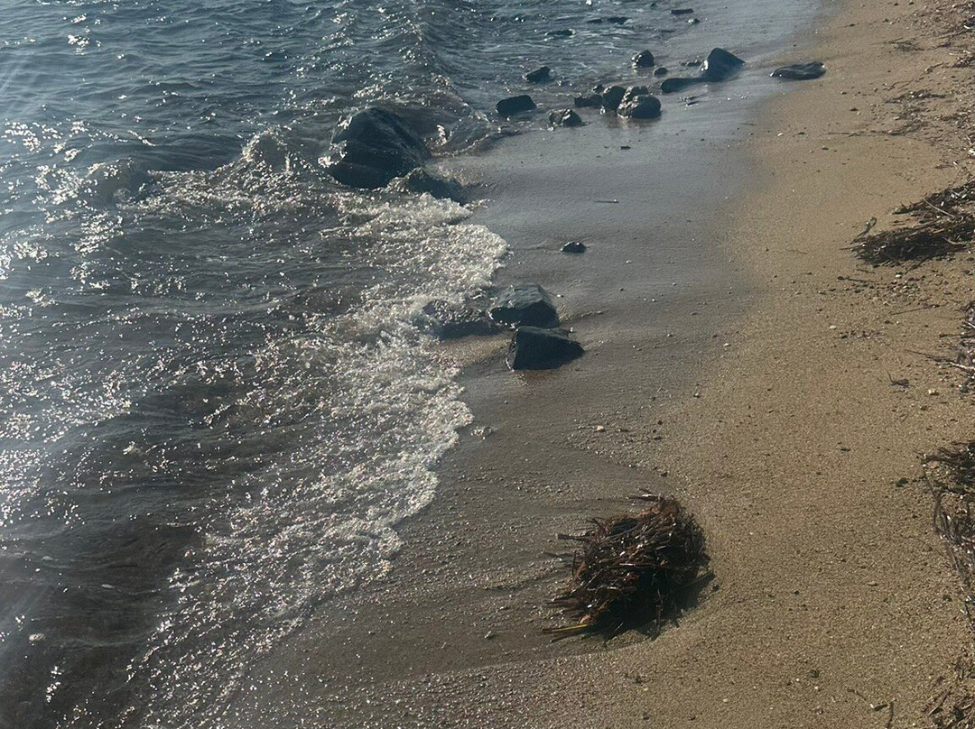 Psakoudia Beach-Psakoudia必去景点