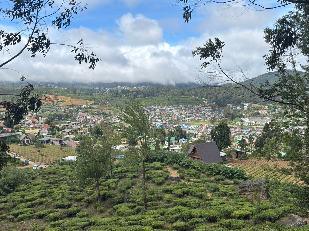 Andrews Eco Tours and Taxi-奴娃拉伊利雅必去景点