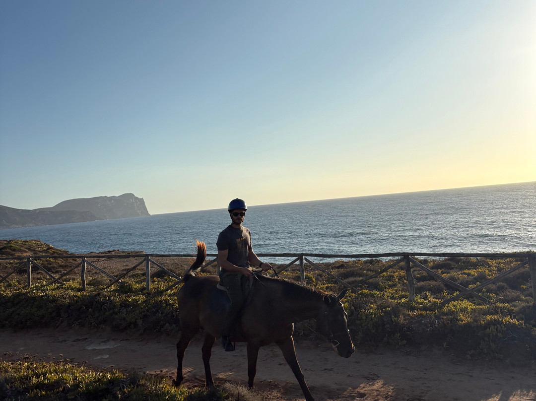 Tre Stelle Sa Mandra-阿尔盖罗必去景点